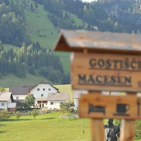 Guest house Macesen