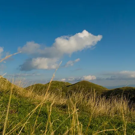 Macesen Gostinjska kuća 3*