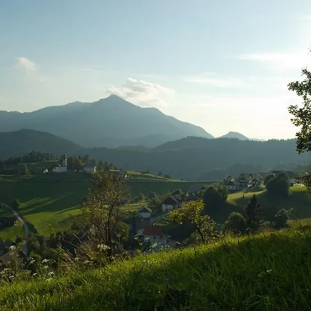 Macesen Spodnja Sorica