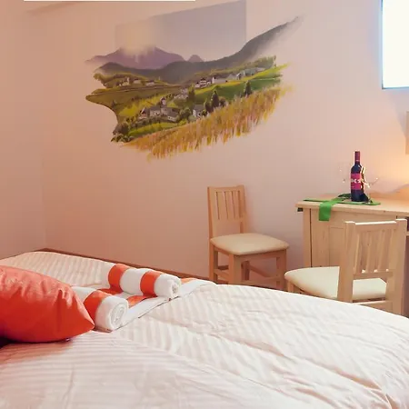 Macesen Guest house 3*