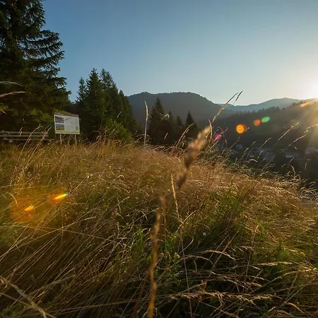 Vendégház Macesen 3*