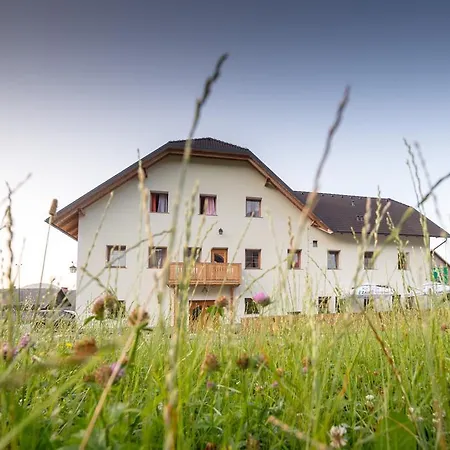 Guest house Macesen 3*