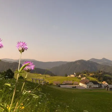 Guest house Macesen Spodnja Sorica