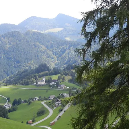 Macesen Spodnja Sorica