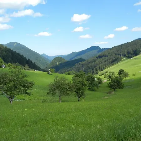 Macesen Spodnja Sorica