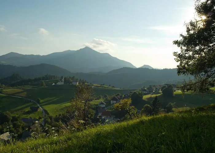 Macesen Spodnja Sorica