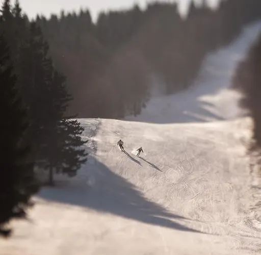 Macesen Spodnja Sorica