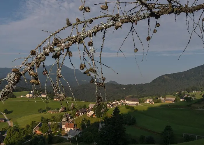 Macesen Spodnja Sorica