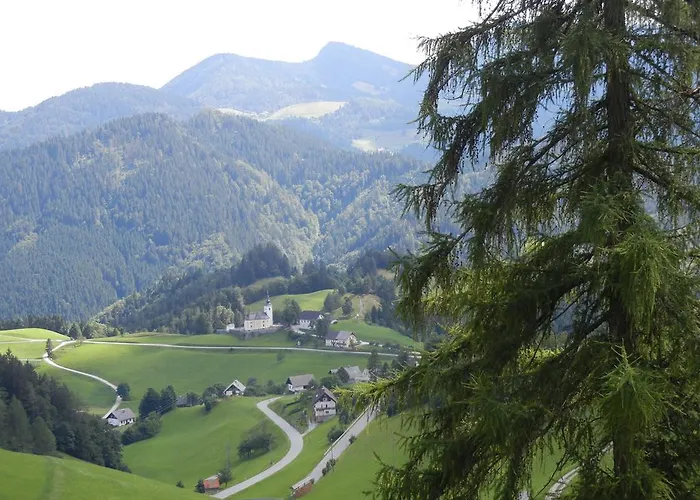 Macesen Spodnja Sorica