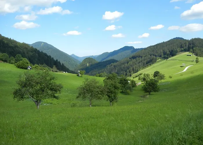 Macesen Spodnja Sorica